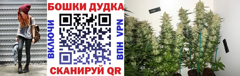 Где купить наркоту Тейково Псилоцибиновые грибы Амфетамин ГАШИШ Героин КОКАИН A PVP Бошки Шишки
