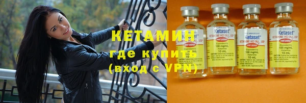 трава Гусь-Хрустальный