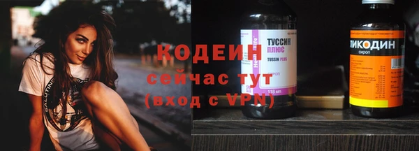 круглые Гусев