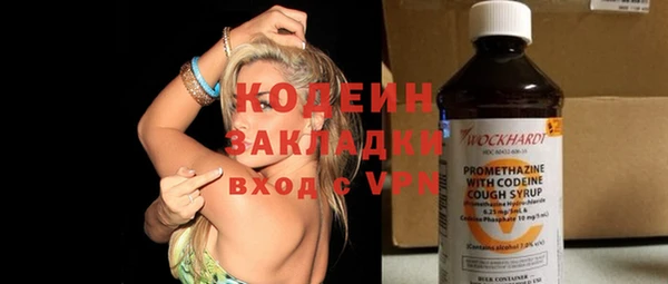 круглые Гусев