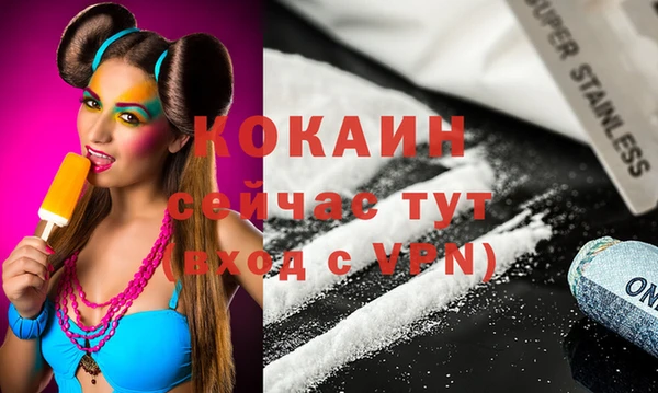 круглые Гусев