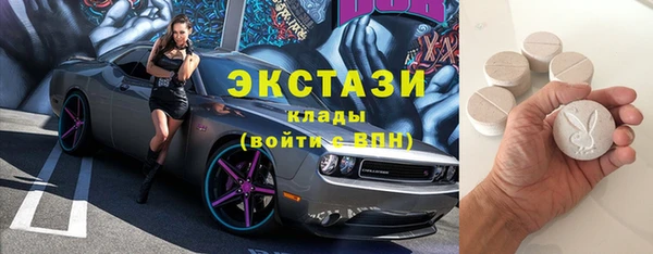 круглые Гусев