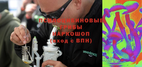 круглые Гусев