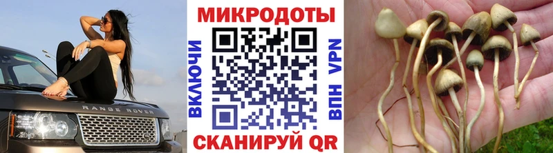 ссылка на мегу tor  Тейково  Галлюциногенные грибы Cubensis 